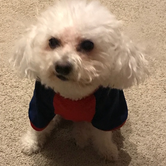 ozzy0120